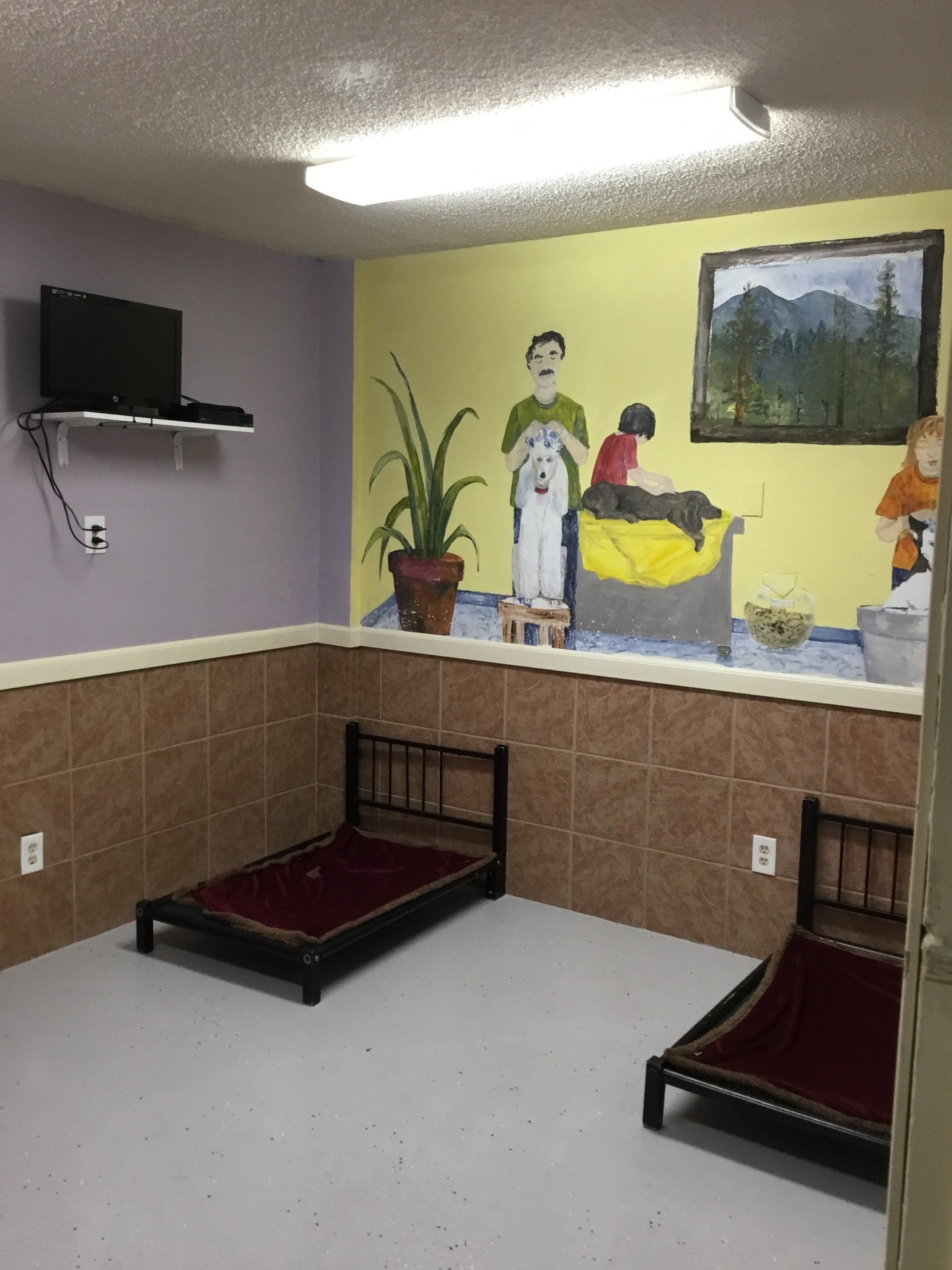 purple room with bed and tv