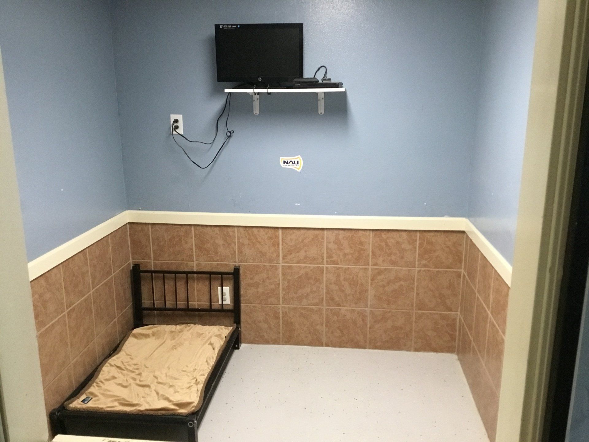 blue room with bed and tv