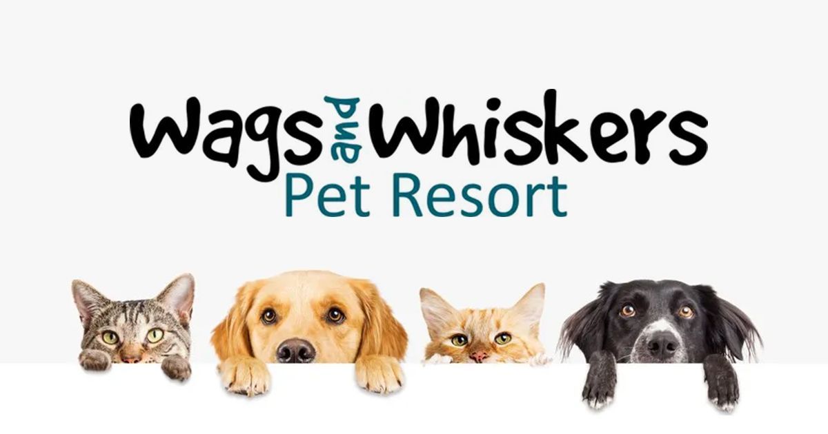 Wags and Whiskers Pet Resort