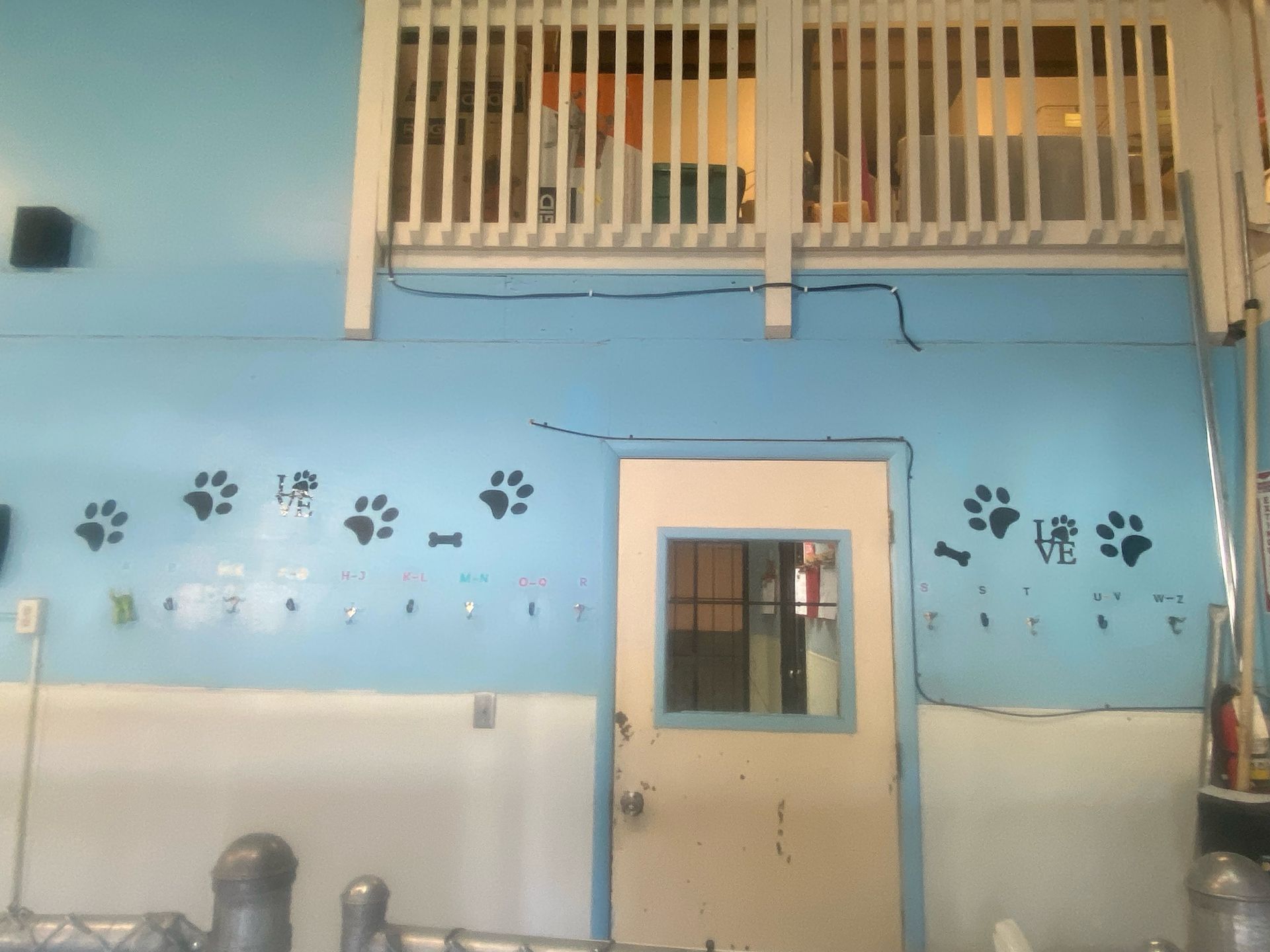 Light blue room with paws painted on the walls