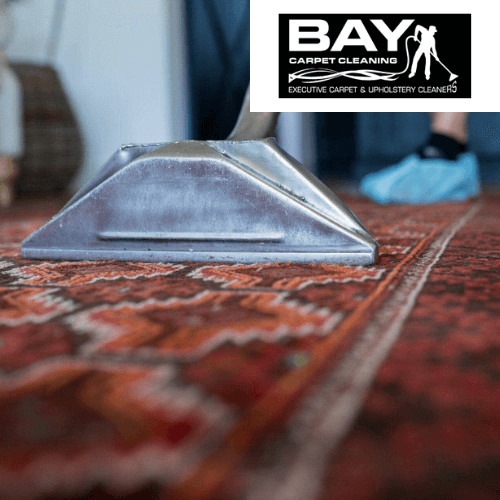 Bay Carpet Cleaning - Website
