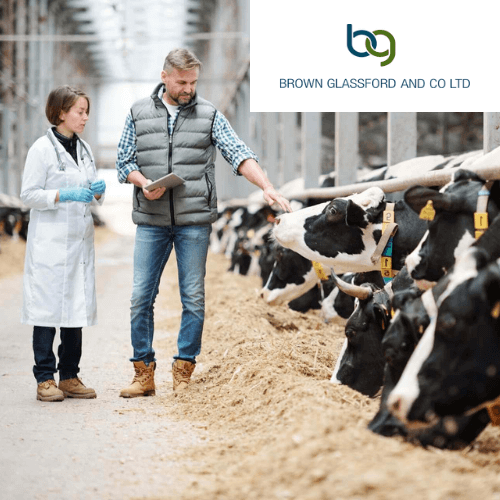 Brown Glassford - Website