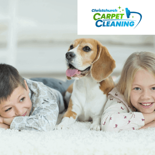 Christchurch Carpet Cleaning Website