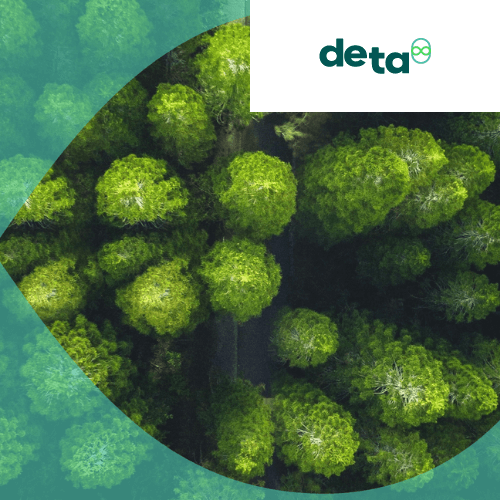 an aerial view of a forest with the deta logo in the corner