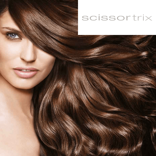 Scissortrix - Website