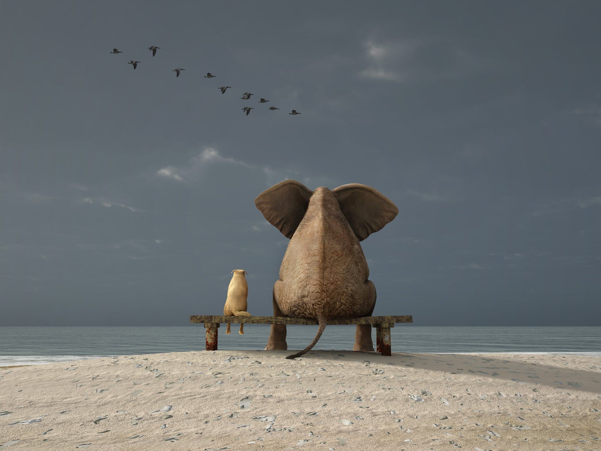 an elephant and a bird are sitting on a bench on the beach .