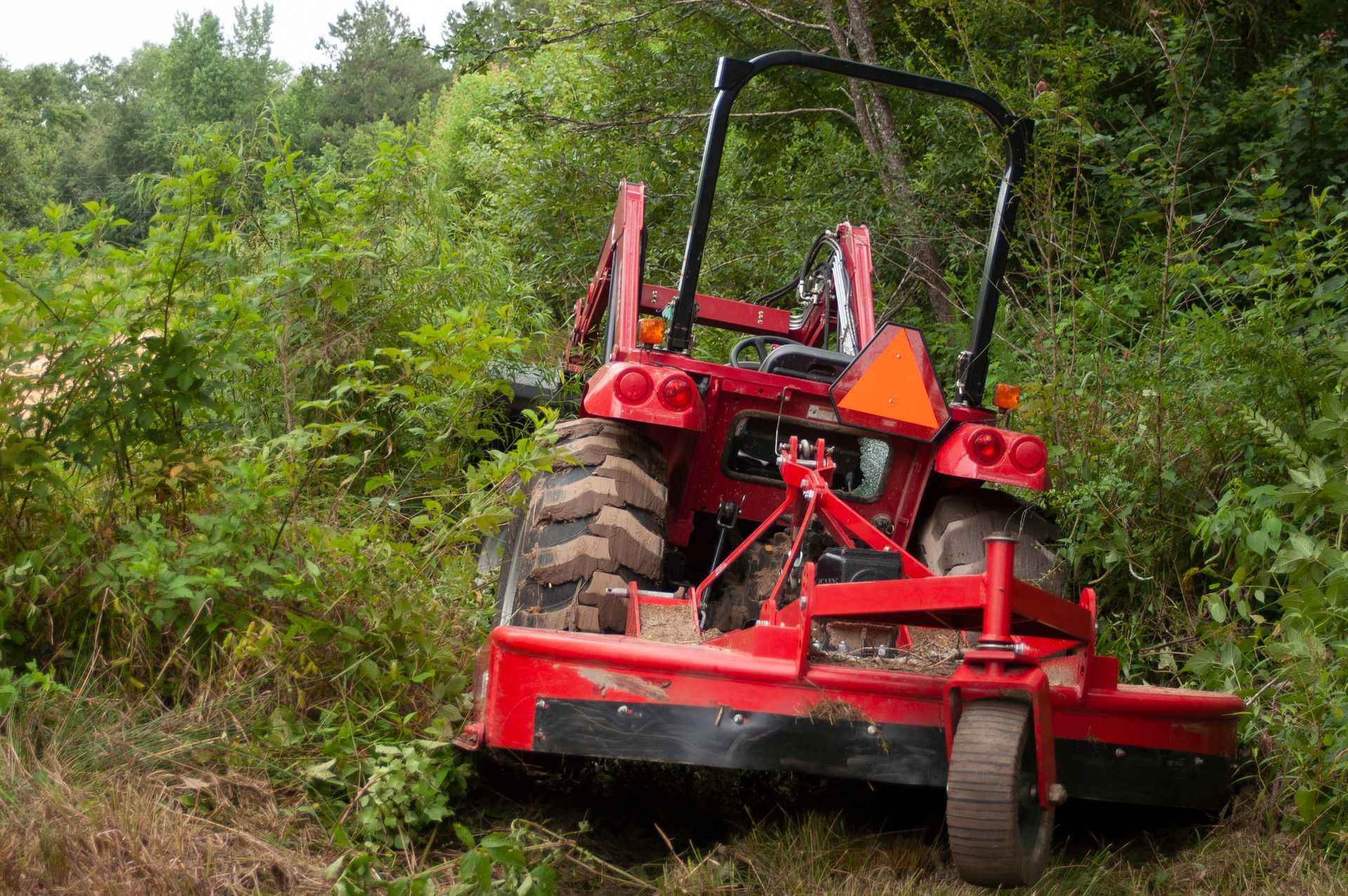Red tractor mowing brush on a grassy hillside, viewed from behind amid dense greenery