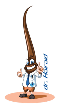 logo dr haird