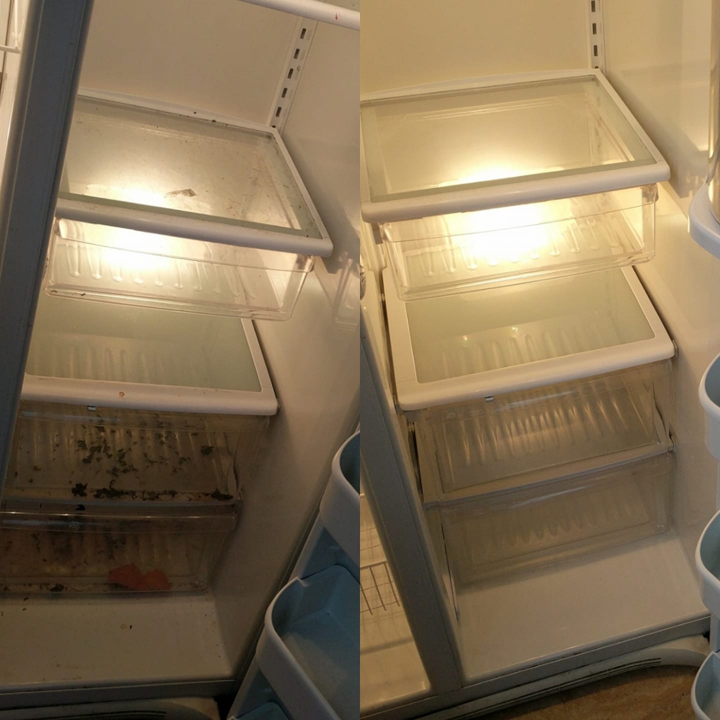 clean fridge before and after