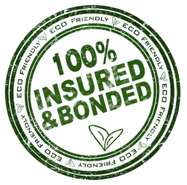 100% insured and bonded eco-friendly cleaner in louisville