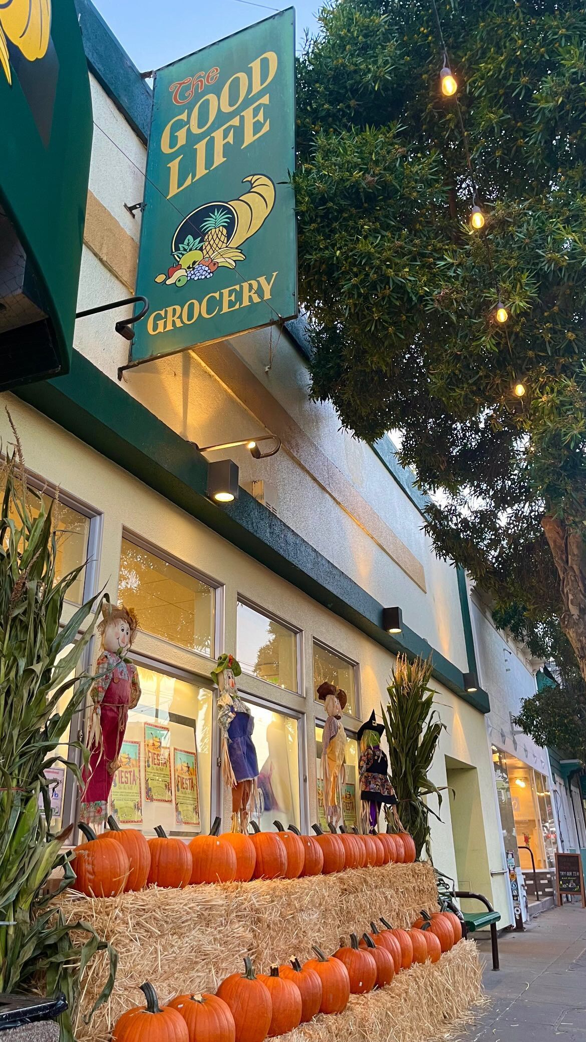 Bernal Heights Store front with pumpkins