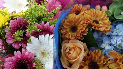 Flowers