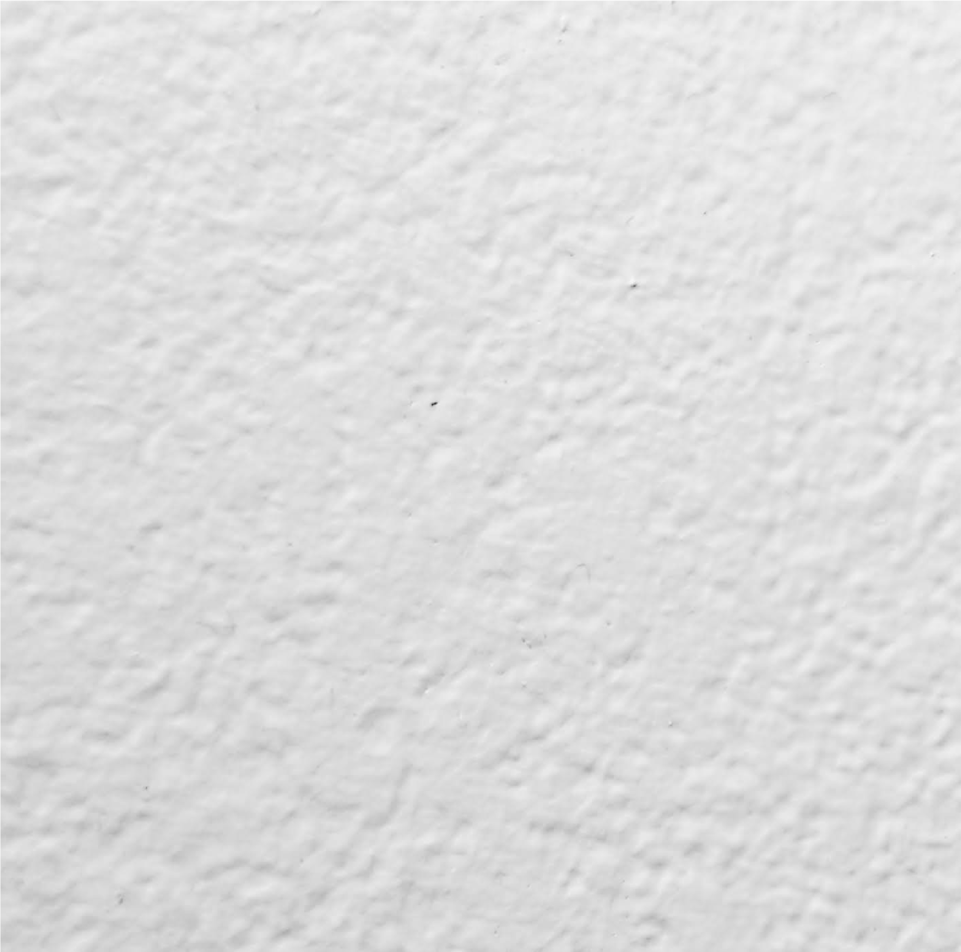 Dirty White Wall Coating — Richmond, VA — Beckstoffer Welsh Inc.