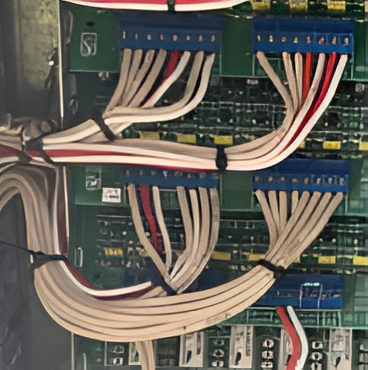 Wiring Panel With Blue Terminal Blocks and Bundled Red — Quik Fire Electrical in Kelmscott, WA