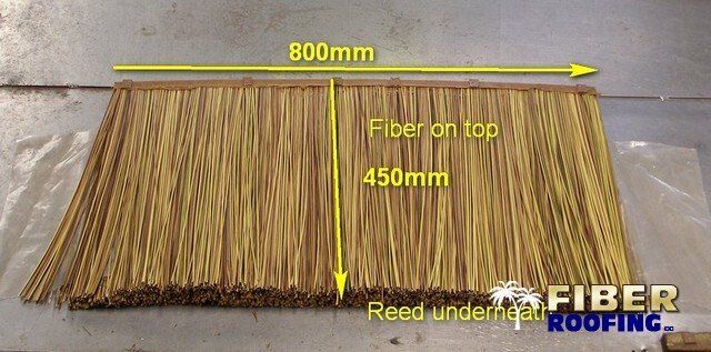 FIBER-REED-TOP-CONE