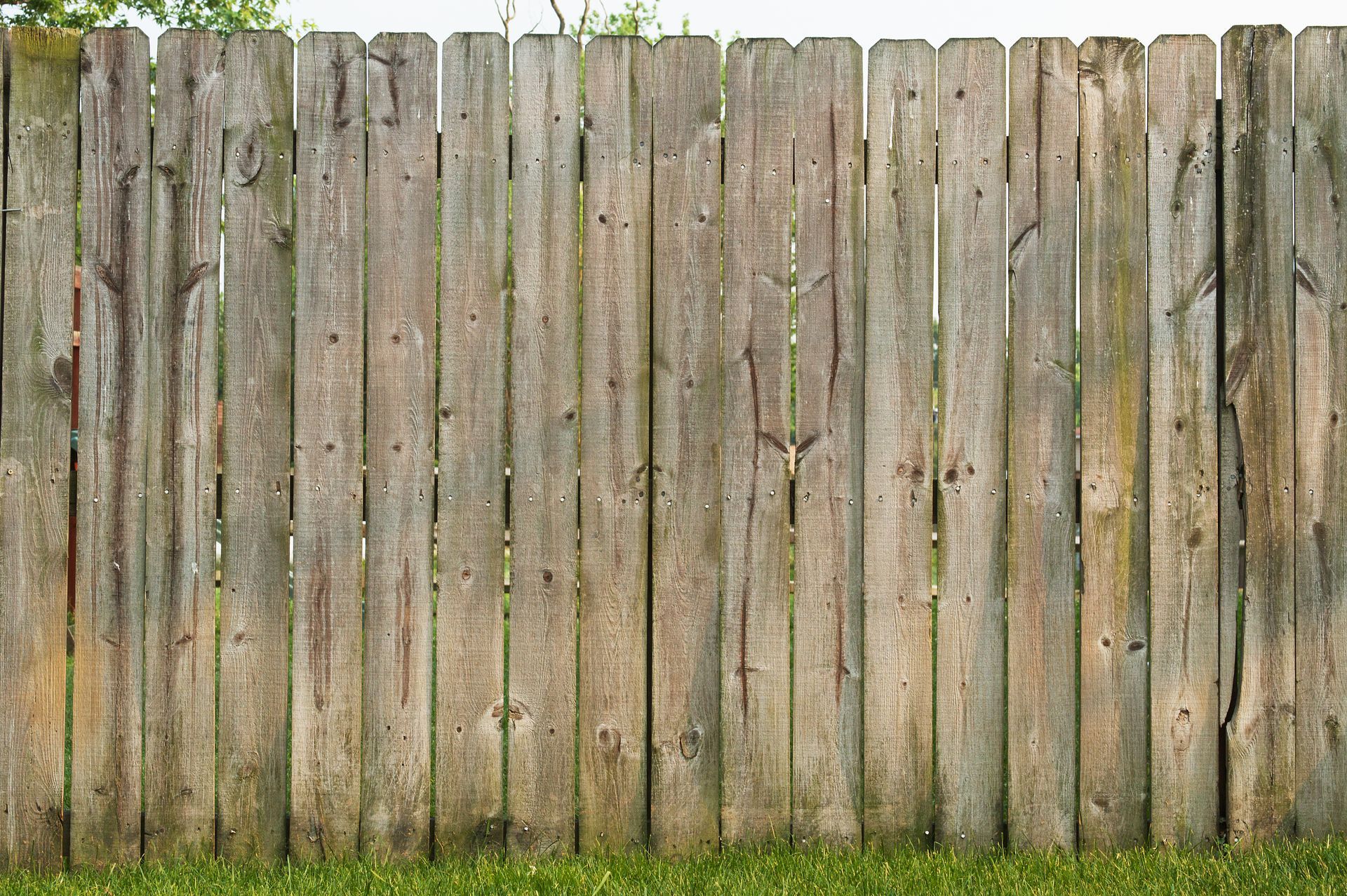 Weathered wooden fence with green grass at base.