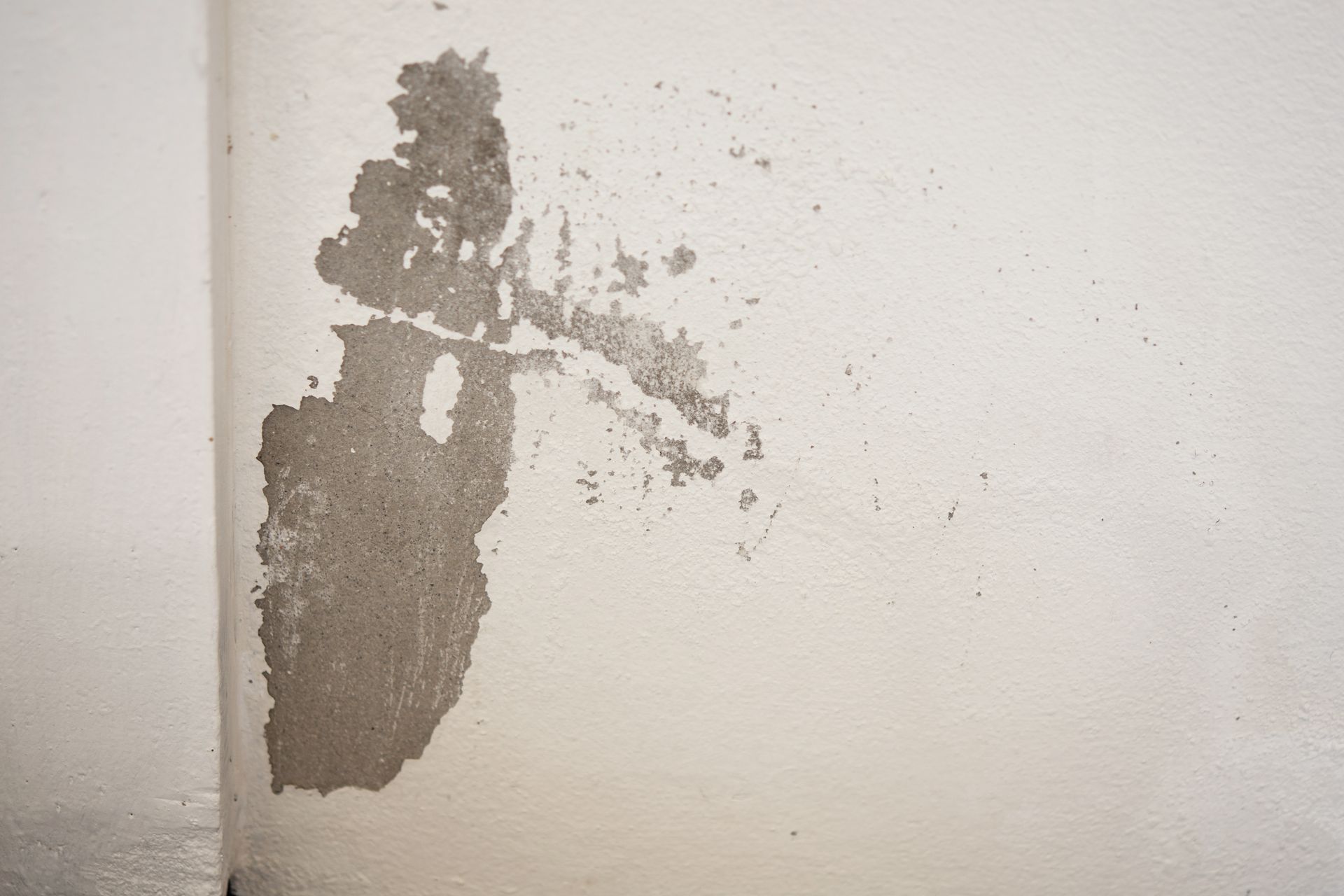 White wall with peeling paint, revealing gray concrete underneath.