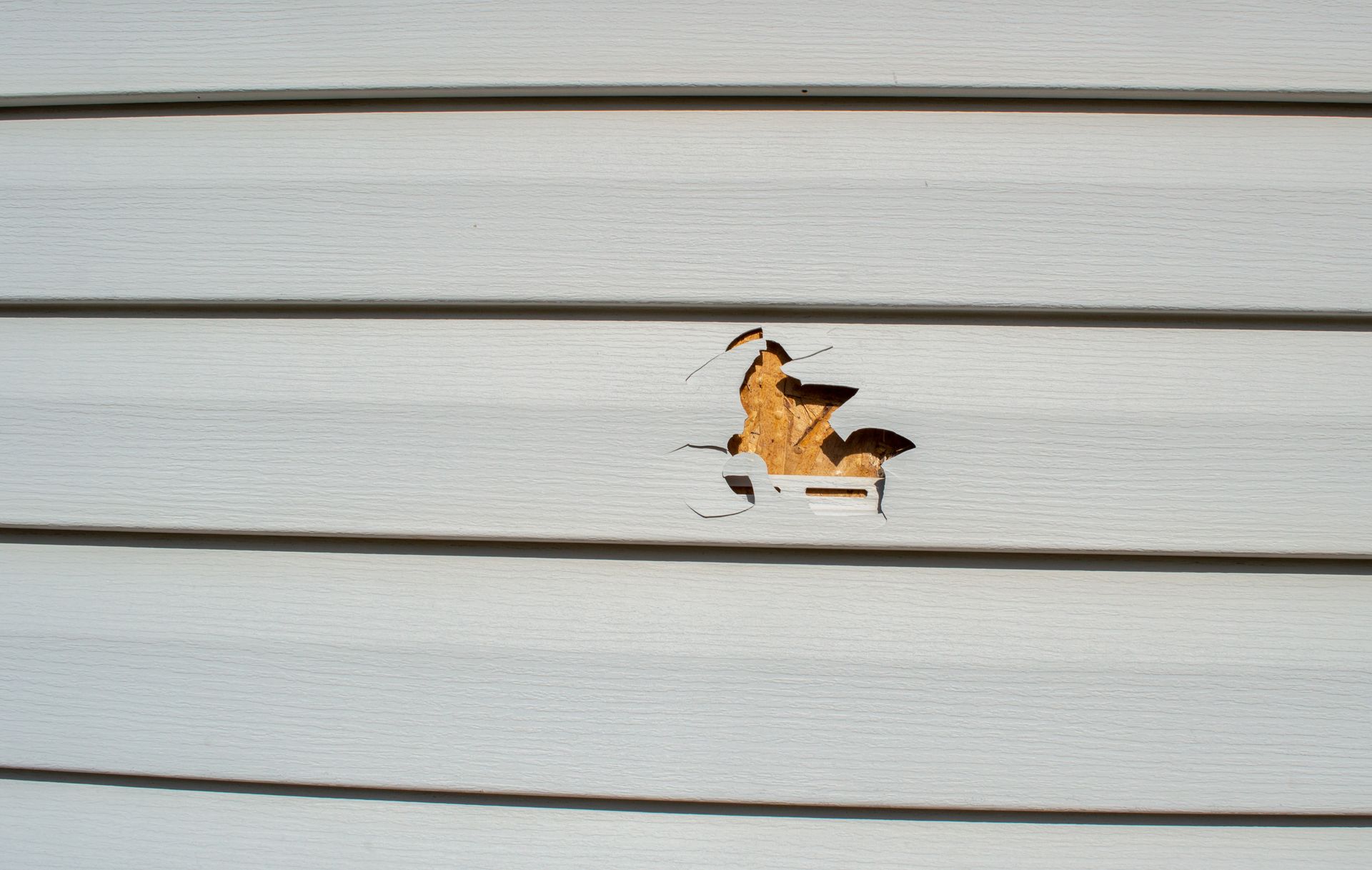 Damaged white siding with a hole, exposing brown wood underneath.