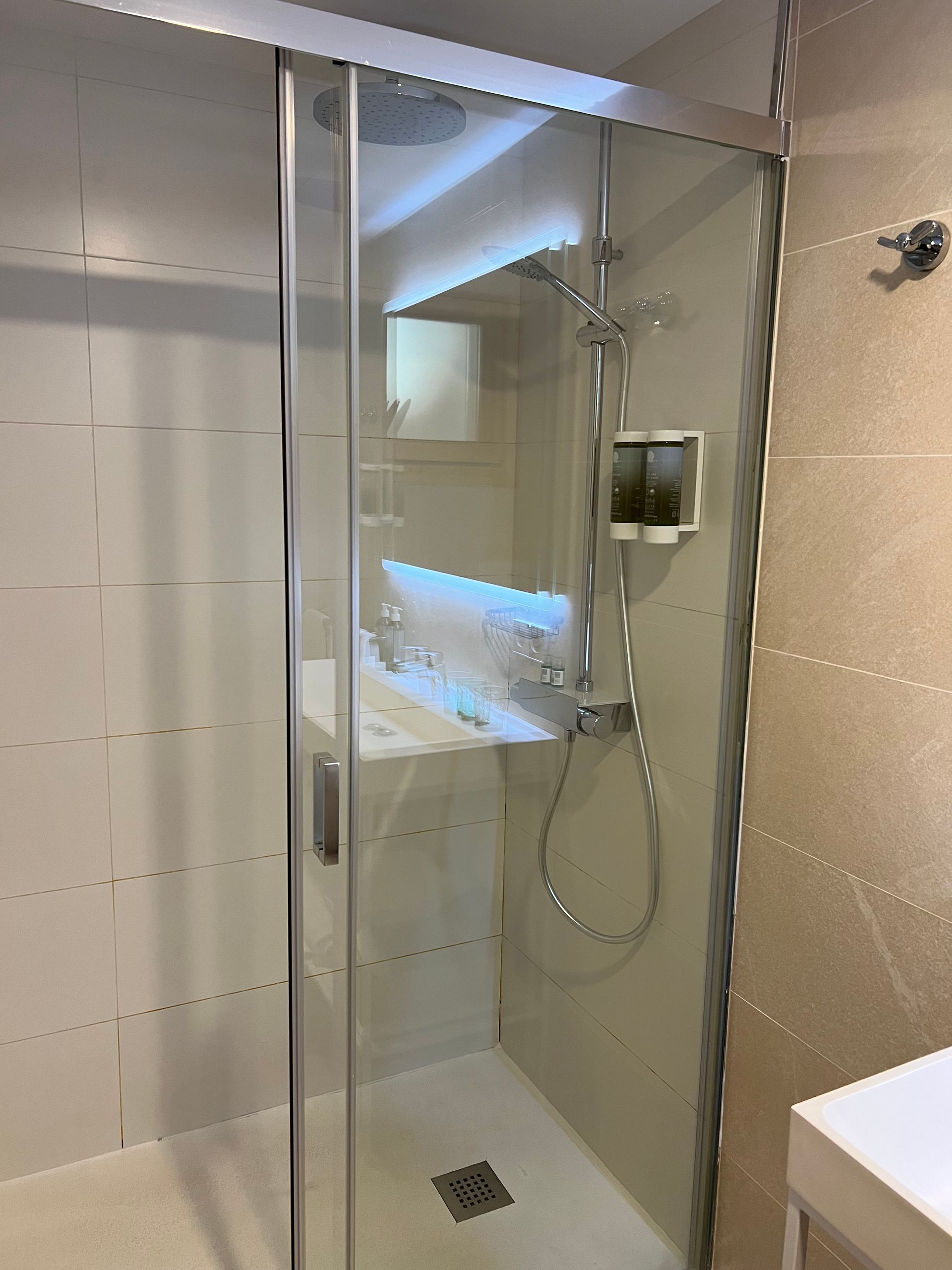 Junior suite baño ducha