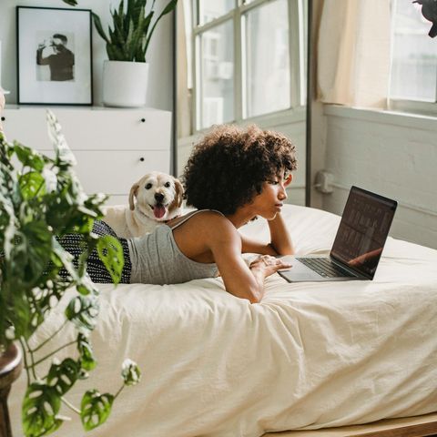 Young black woman in a grey tank top laying on a bed working on her laptop next to a small white wire haired dog. 