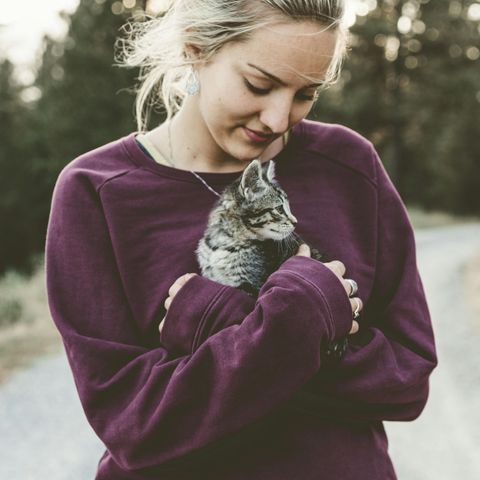 Young caucasian woman in a maroon sweatshirt holding a tabby kitten 
