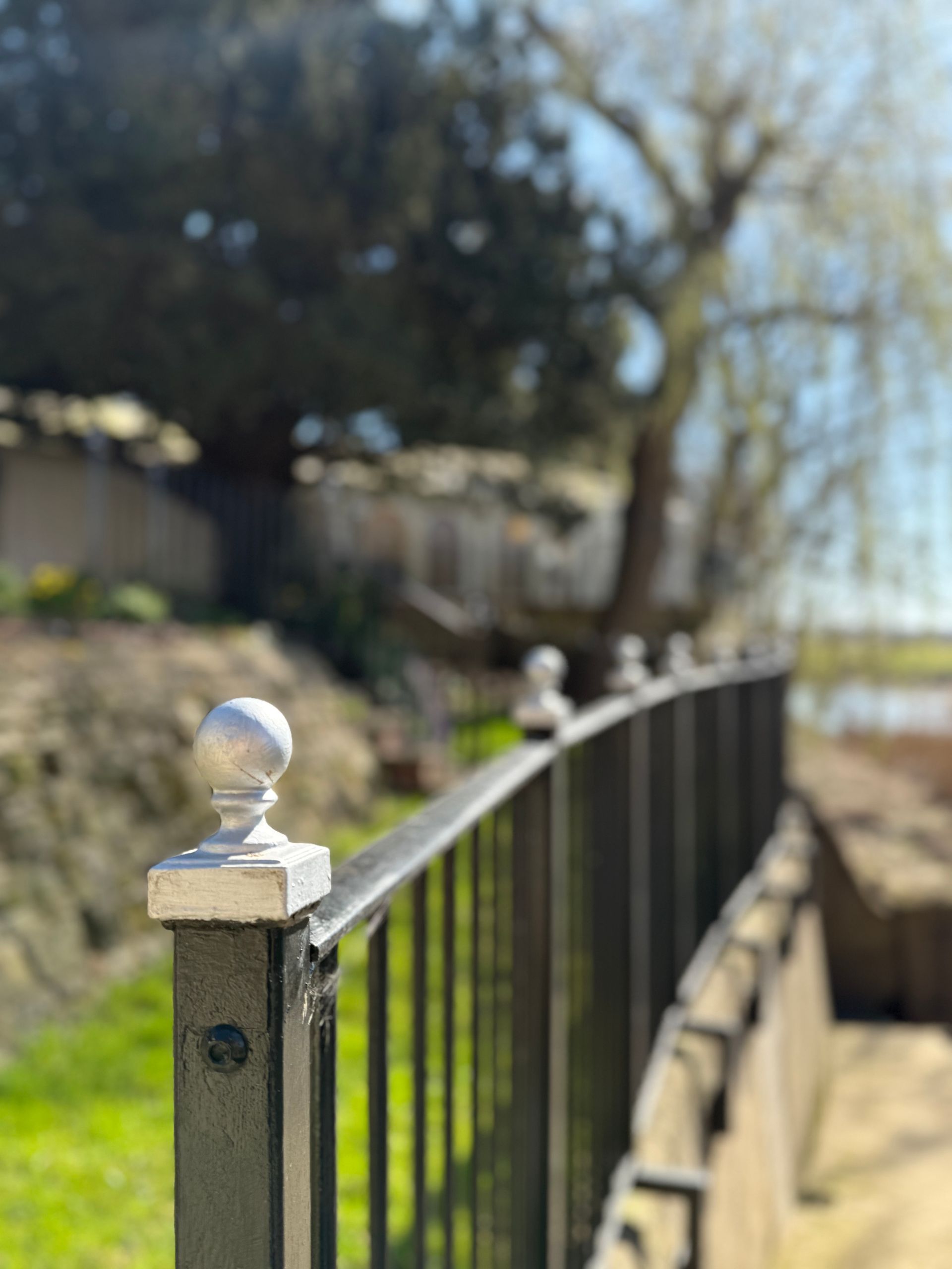 Black metal fence with decorative finials, green grass, and blurred tree backdrop.
