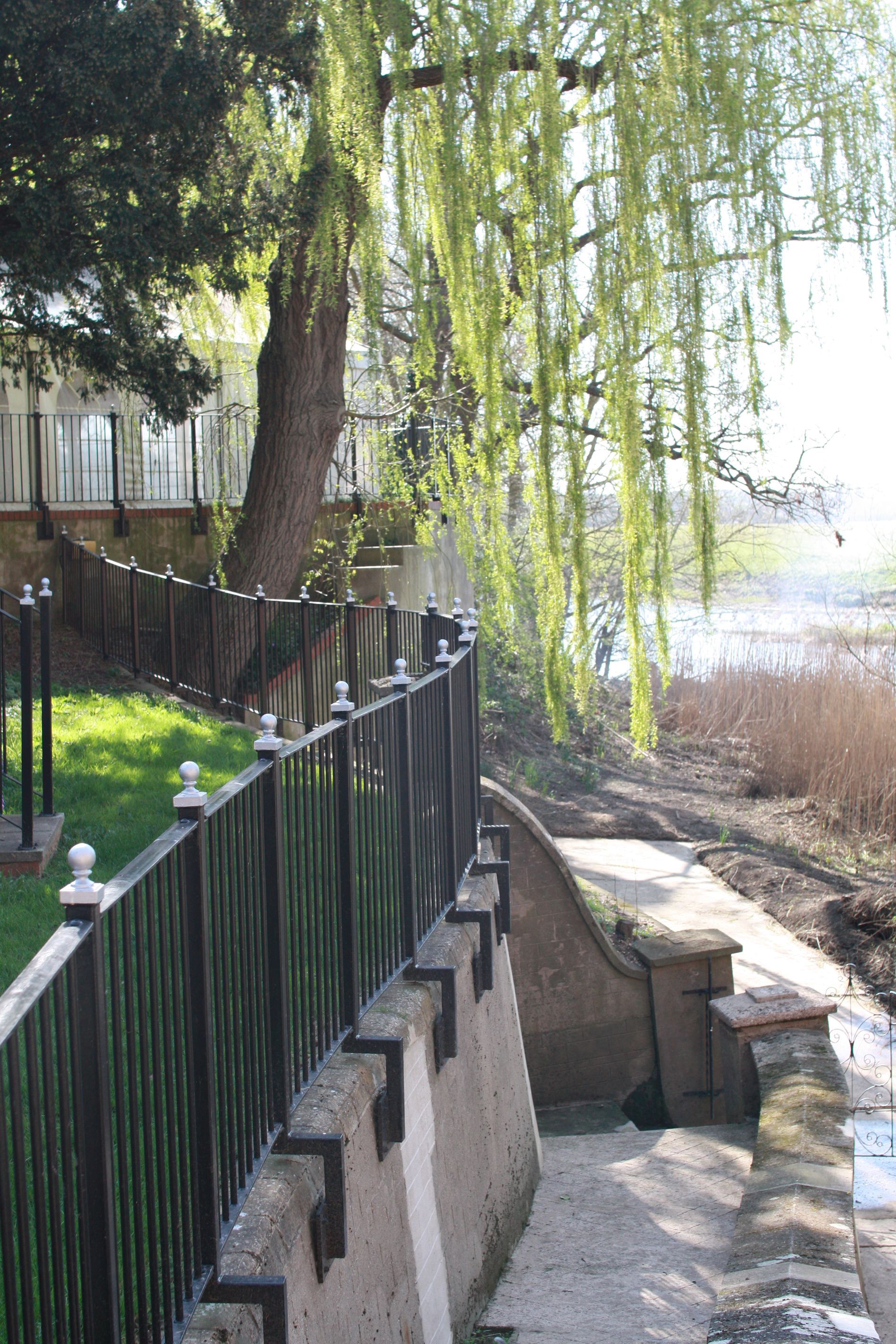 Black fence borders a grassy area and leads down to a waterway lined with reeds; a weeping willow overhead.