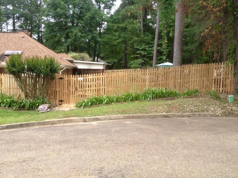 privacy fence  with trees and shrubs in background