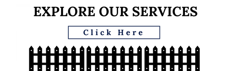 explore our services banner