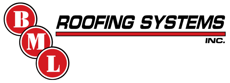 A logo for roofing systems inc. is shown on a white background.