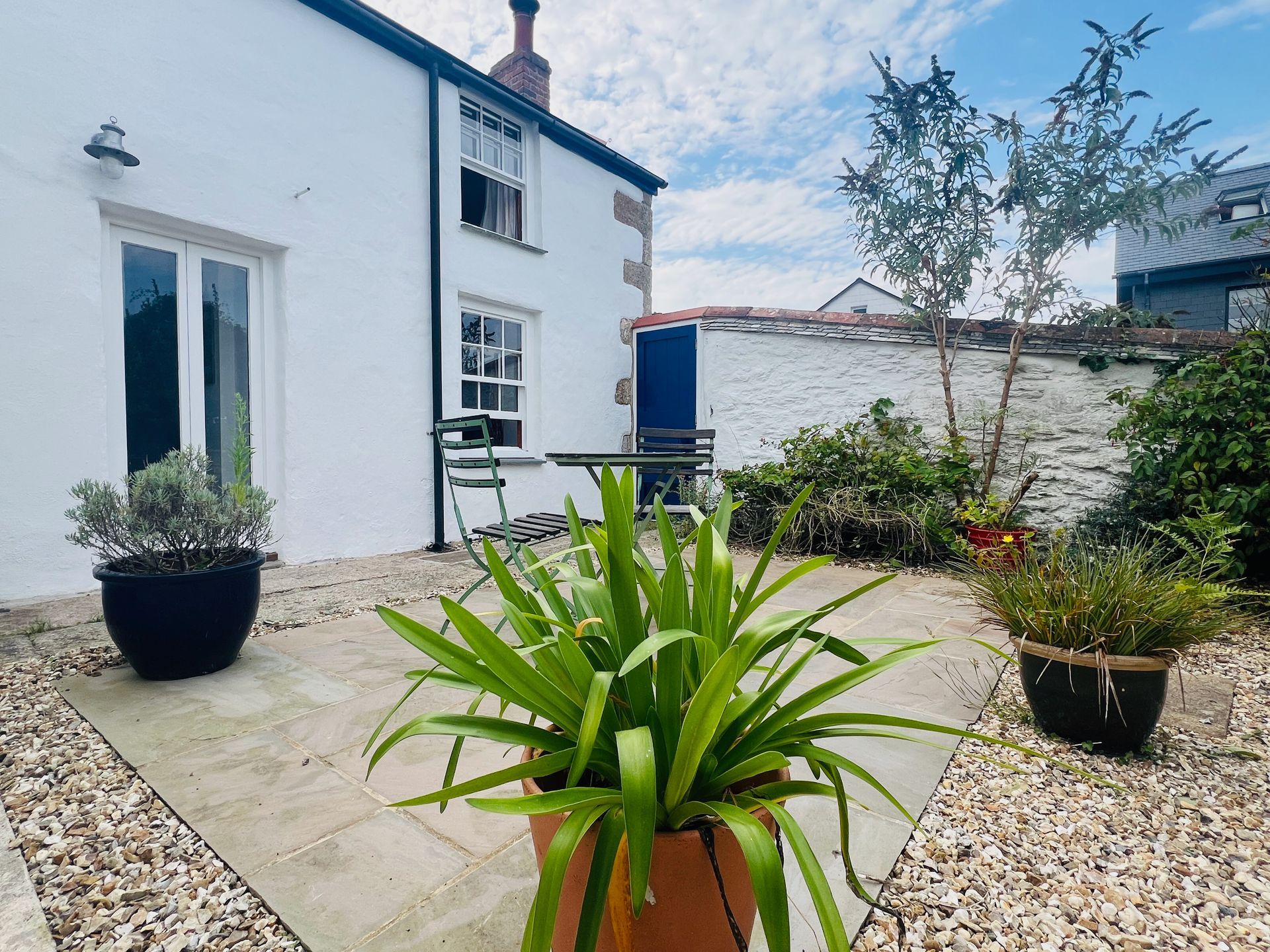 rose cottage falmouth garden 