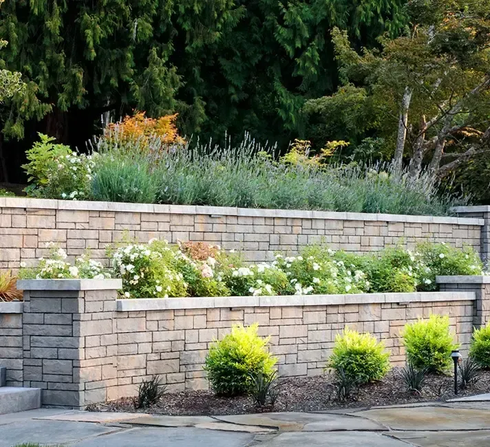 A brick wall with a lot of plants growing on it
