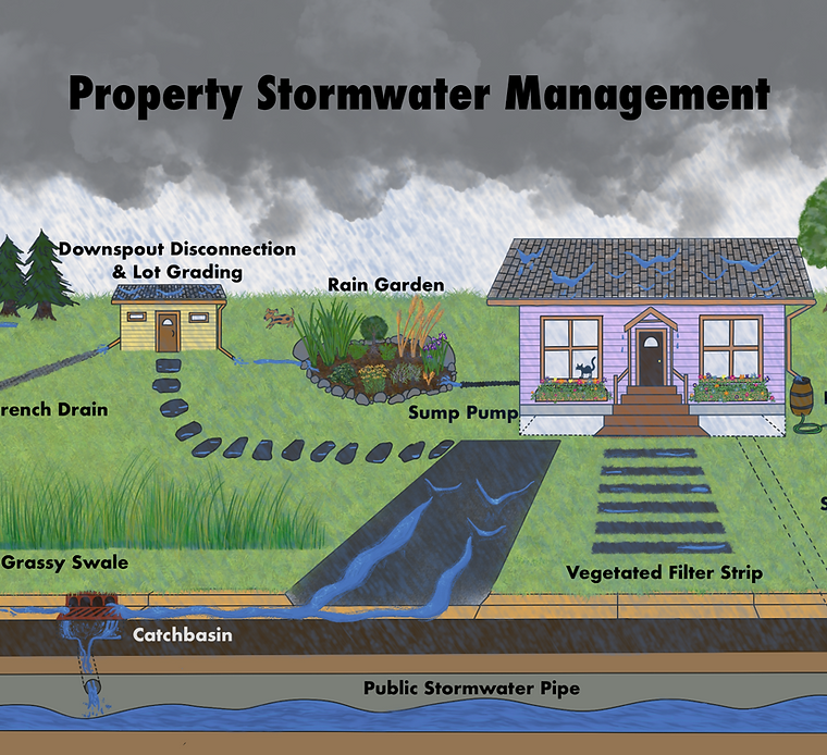 A diagram of property stormwater management with a house in the middle