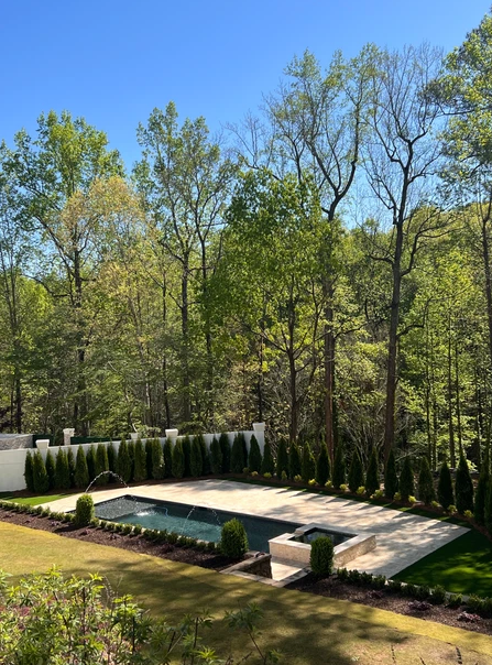 A large swimming pool is surrounded by trees in a backyard.