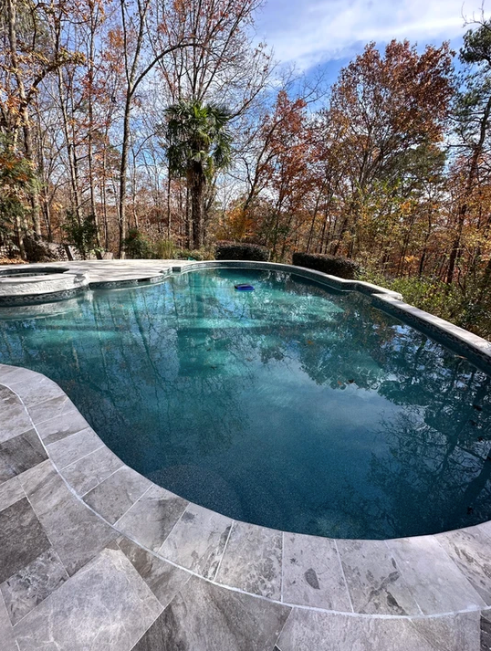 A large swimming pool surrounded by trees on a sunny day.