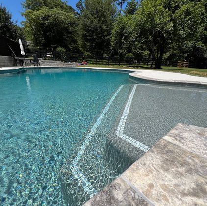 A large swimming pool is surrounded by trees on a sunny day.