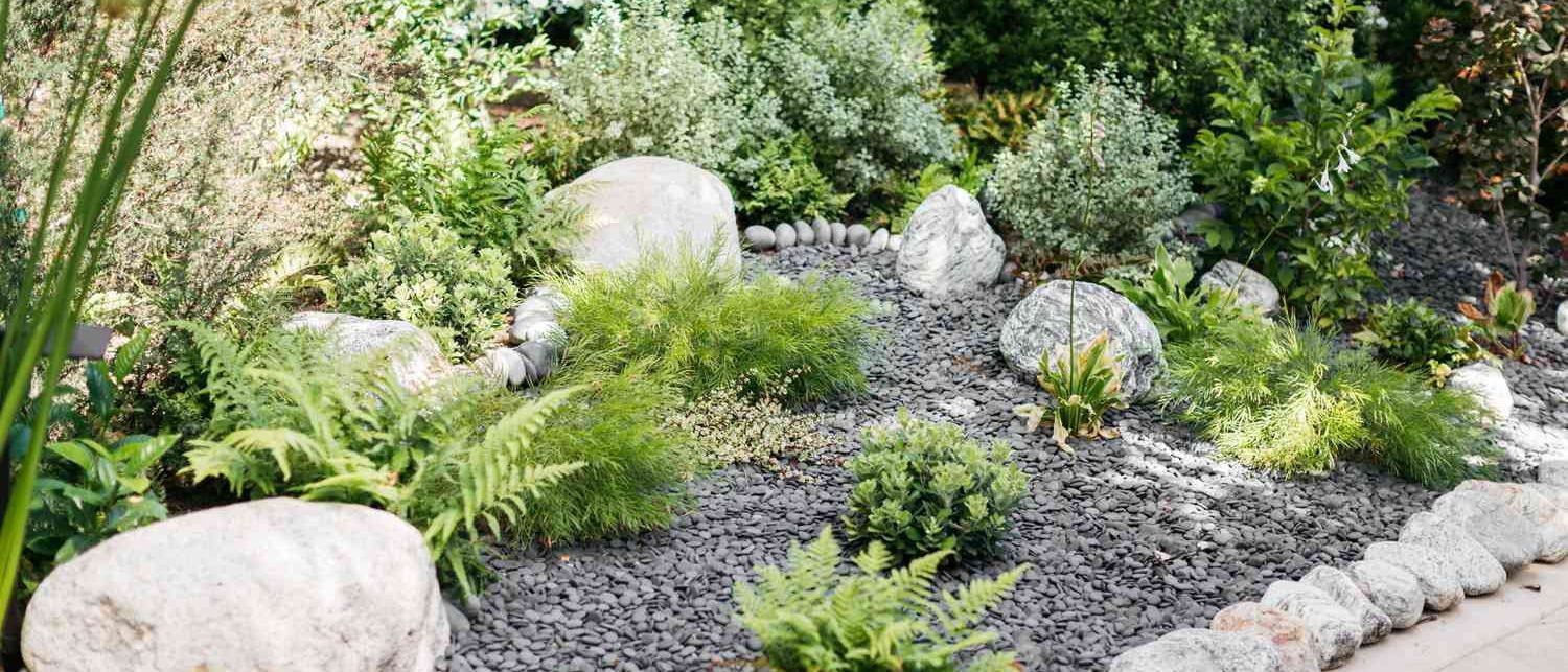 A garden filled with rocks , plants and ferns.