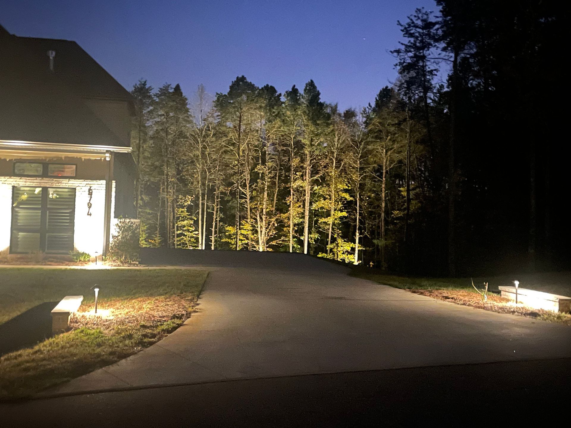 A driveway well lit, and background trees with landscape lighting brightly shining at night.