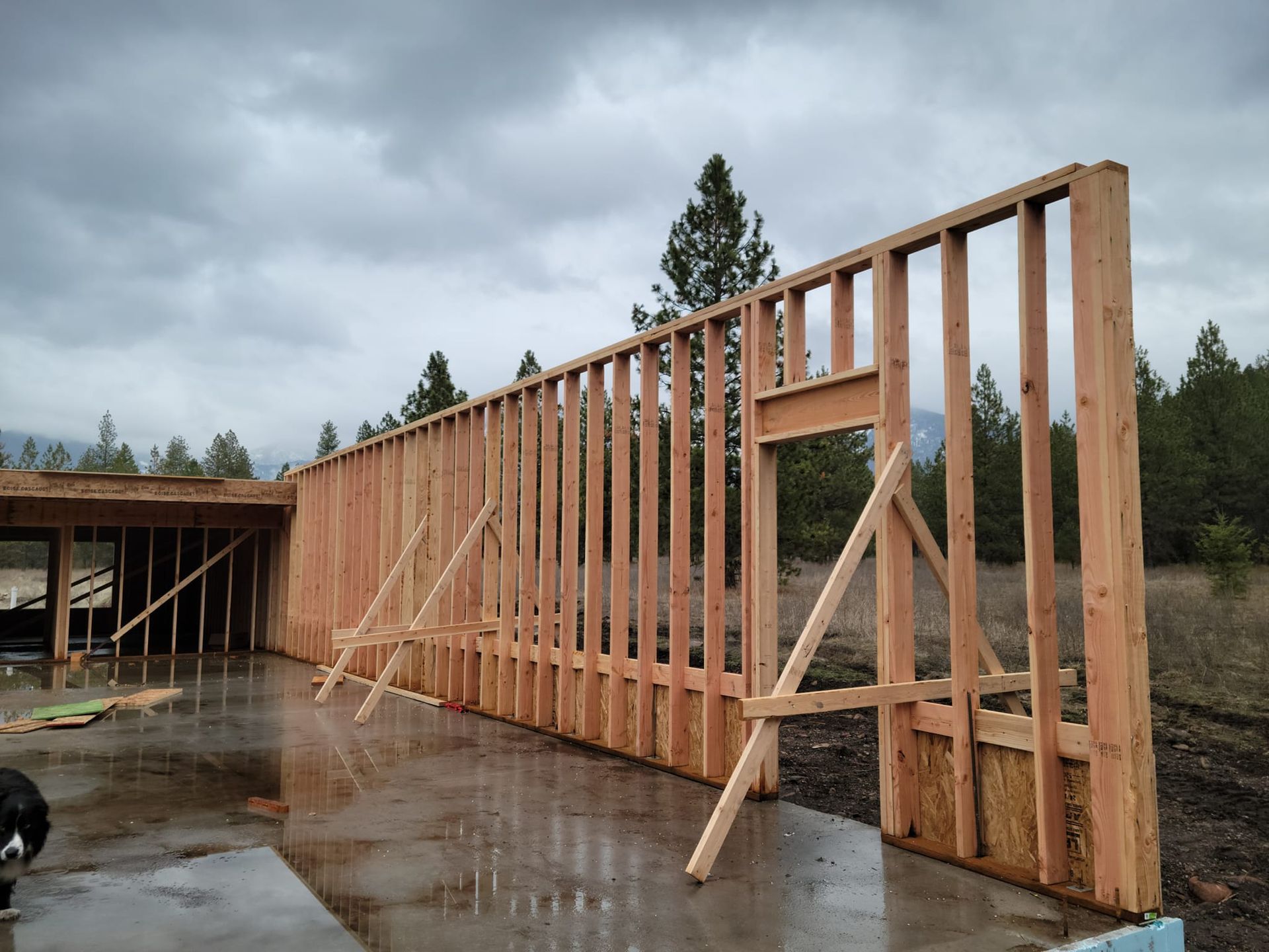 Wall framing for a building under construction, exterior view with wood, supports, and cloudy sky.