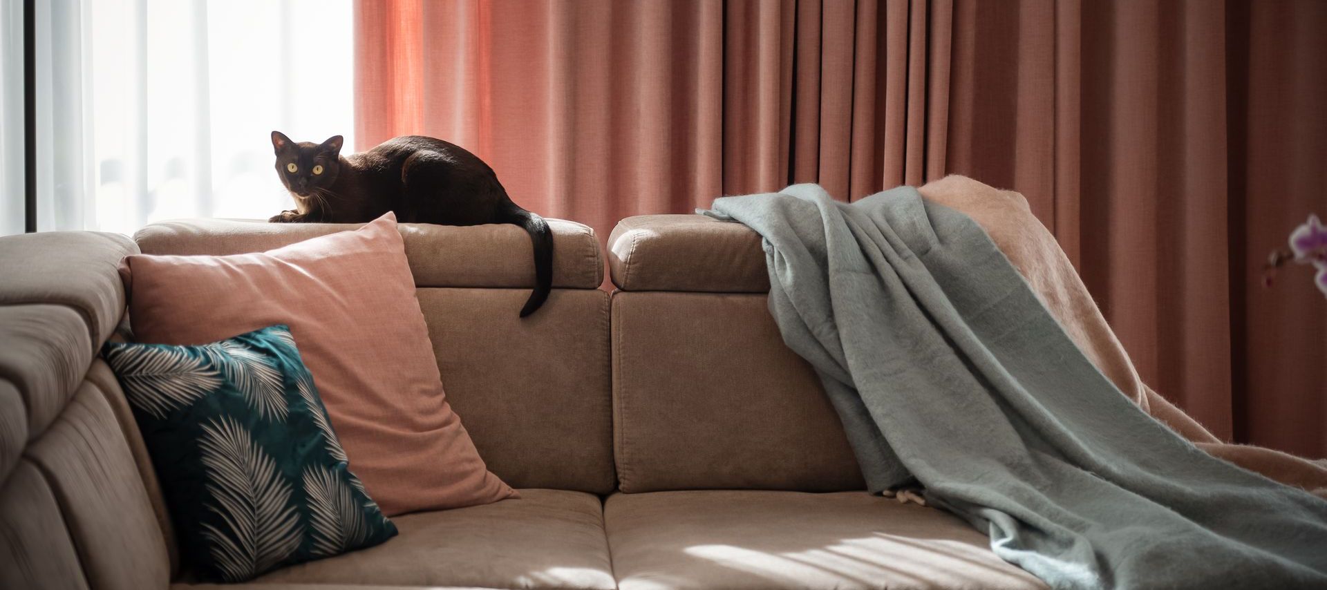 Mājas interjera dizains. Detaļas