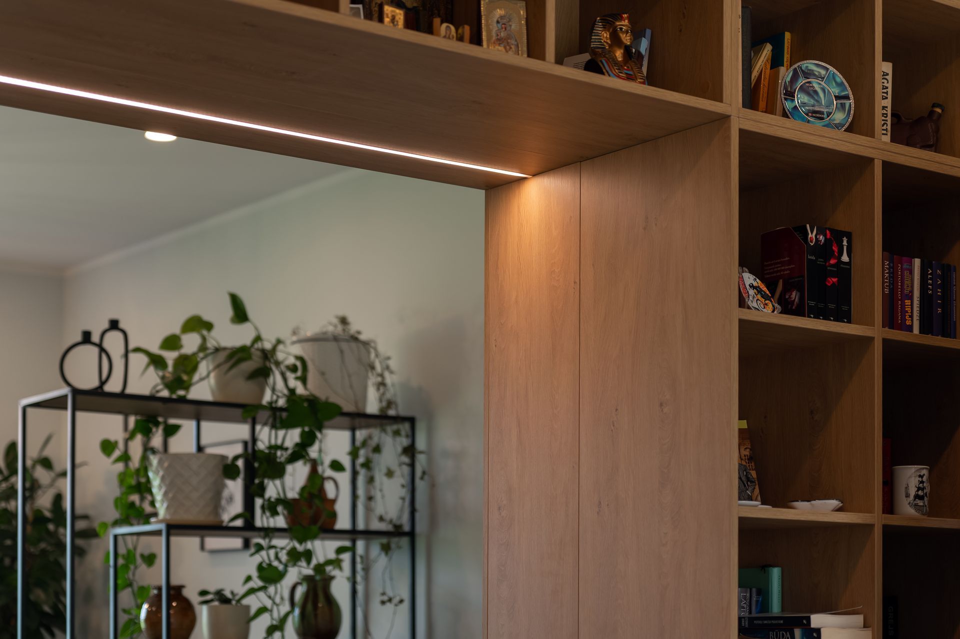 Mājas interjera dizains. Skapis