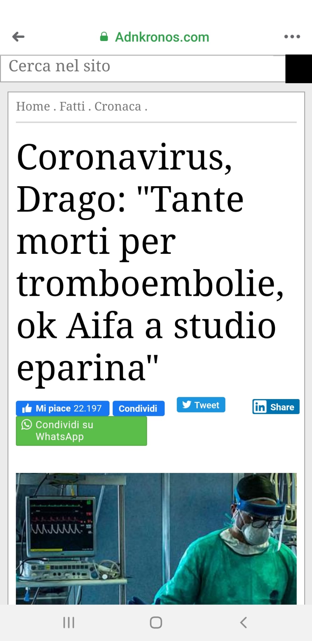 rassegna stampa
