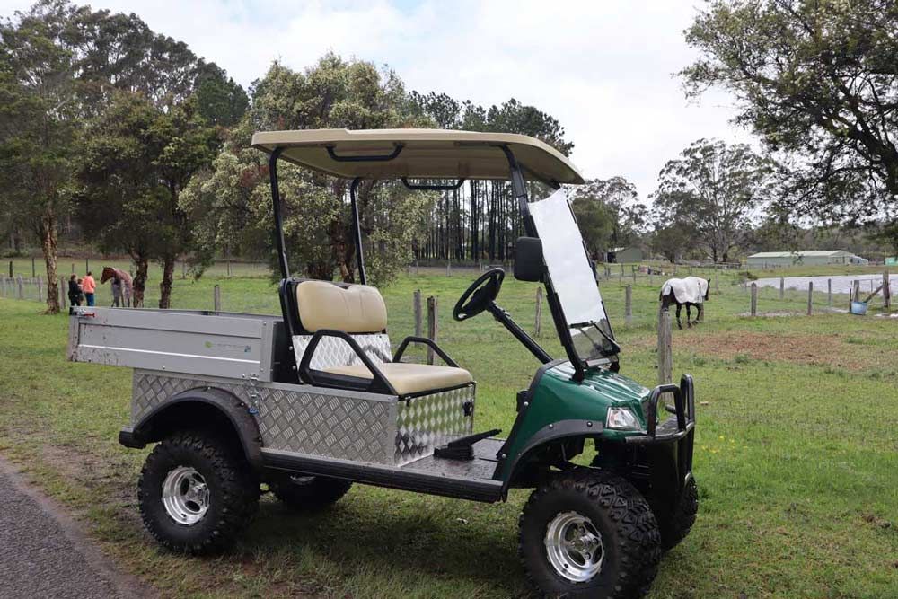 A Green Golf Cart Is Parked In A Grassy Field — Lift It Equipment in Summerland Point, NSW