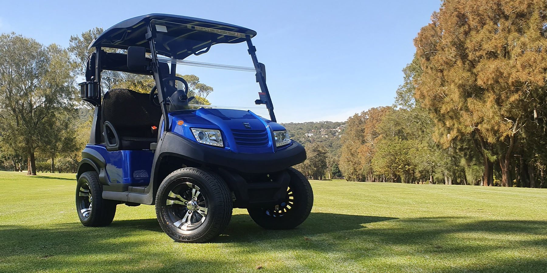 A Blue Golf Cart Is Parked In The Grass On A Golf Course — Lift It Equipment in Summerland Point, NSW