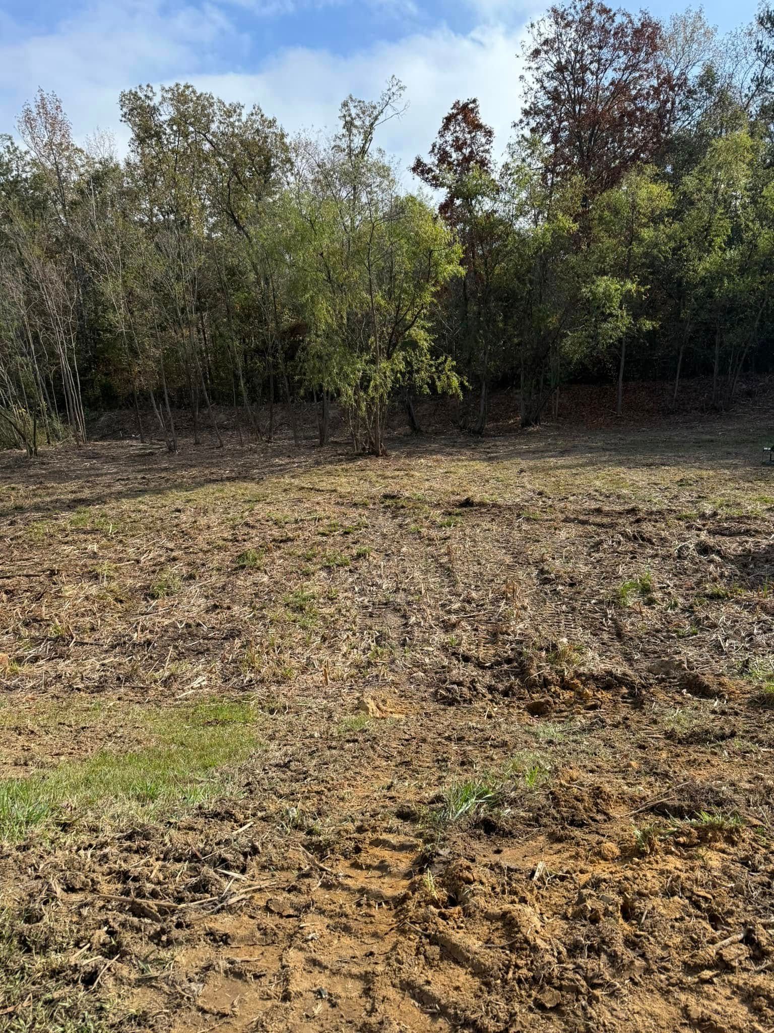 A field of dry, uneven dirt and scattered leaves leading to a dense line of trees under a partly cloudy sky.