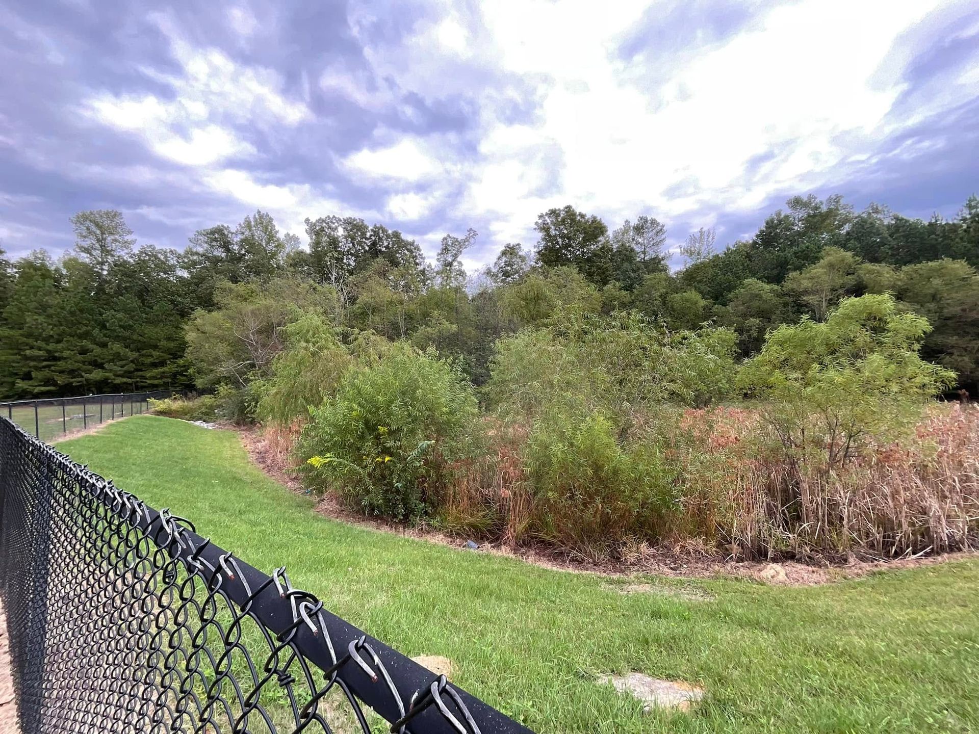 A grassy path runs alongside a chain-link fence, leading toward a dense thicket of green trees under a cloudy sky.
