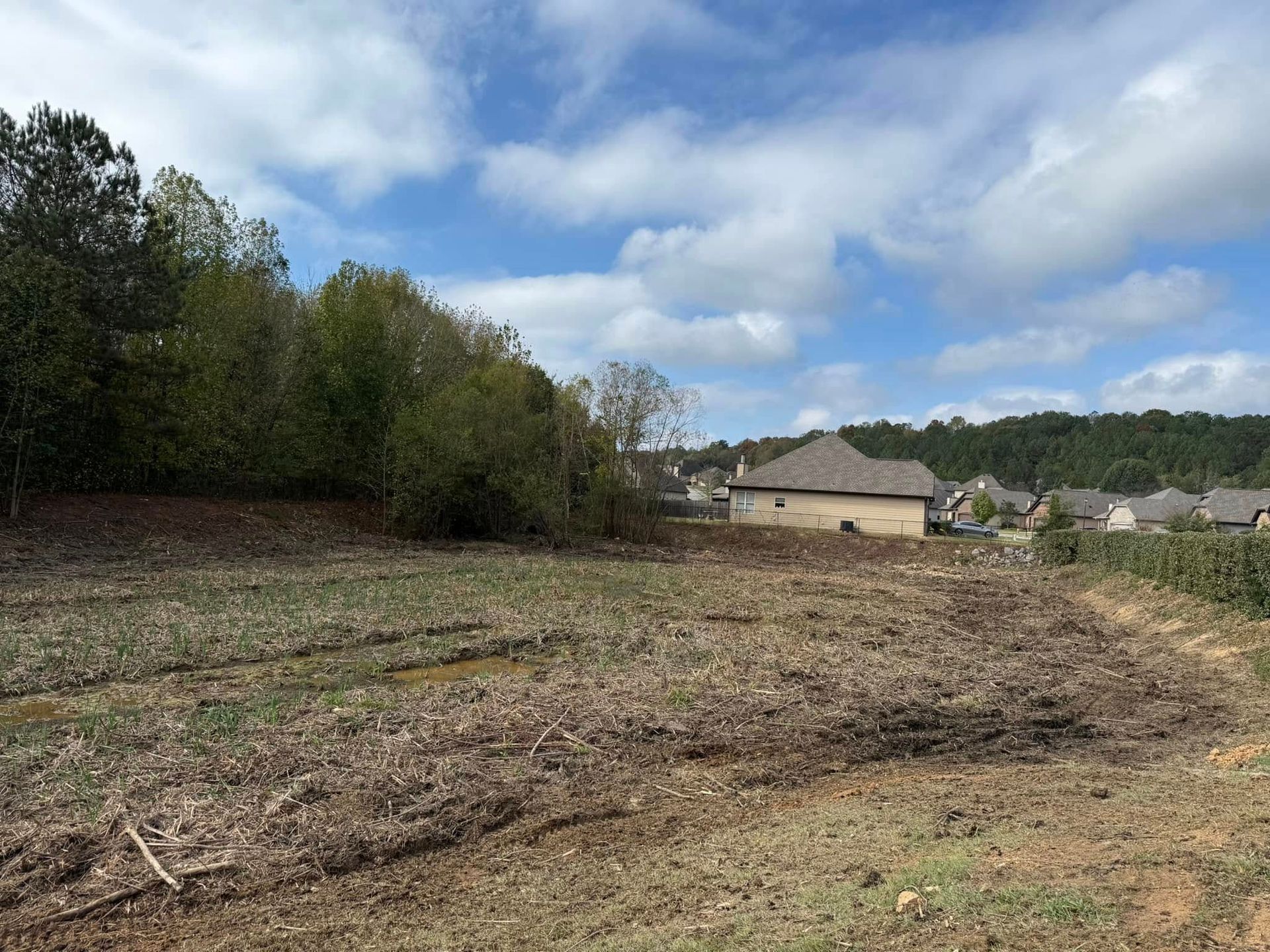 A freshly cleared, muddy field of dirt next to a dense line of trees, with suburban houses visible in the distance.