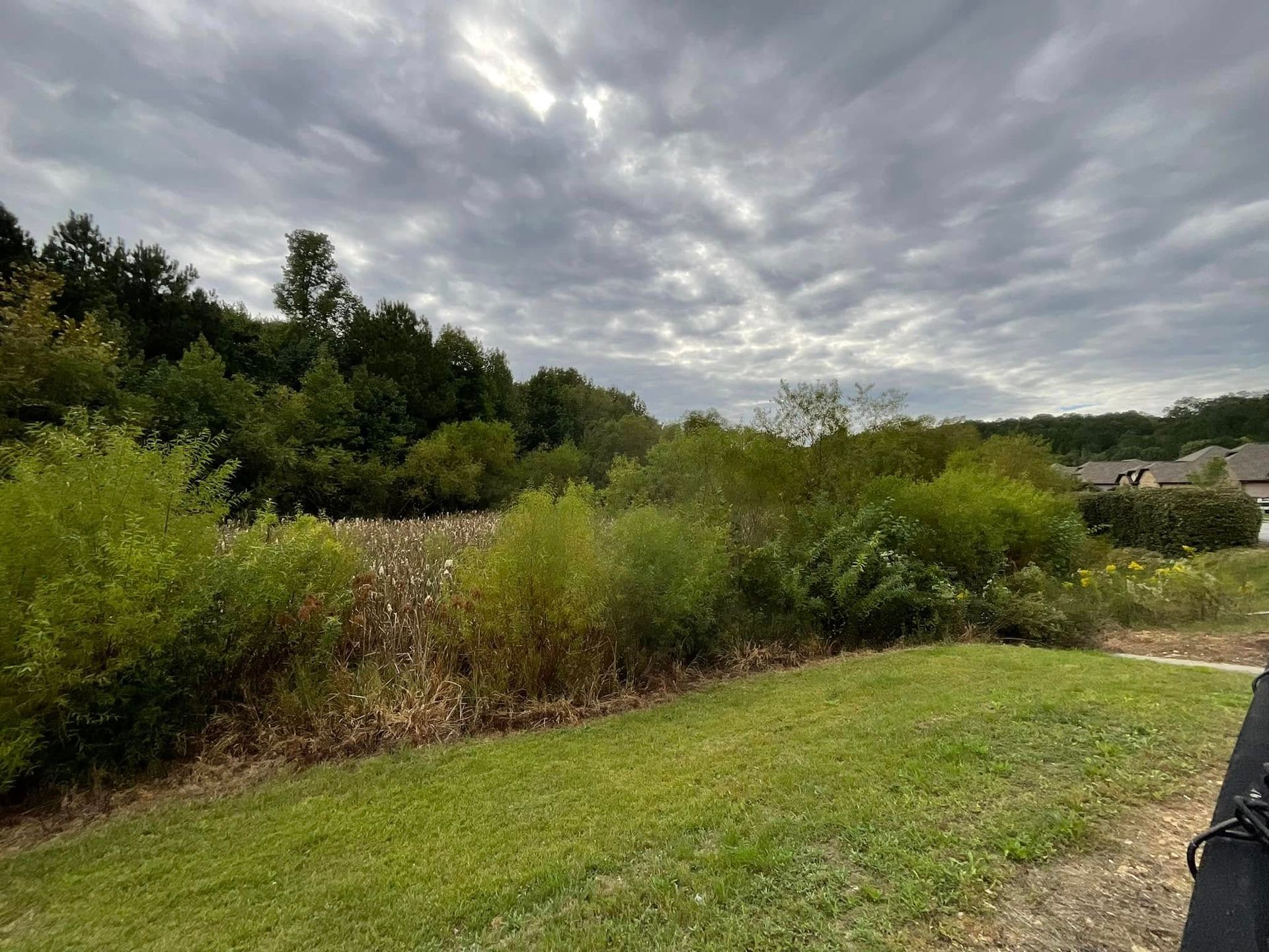A grassy lawn leads to a wild, overgrown field and a dense treeline beneath a dramatic, cloudy, grey sky.