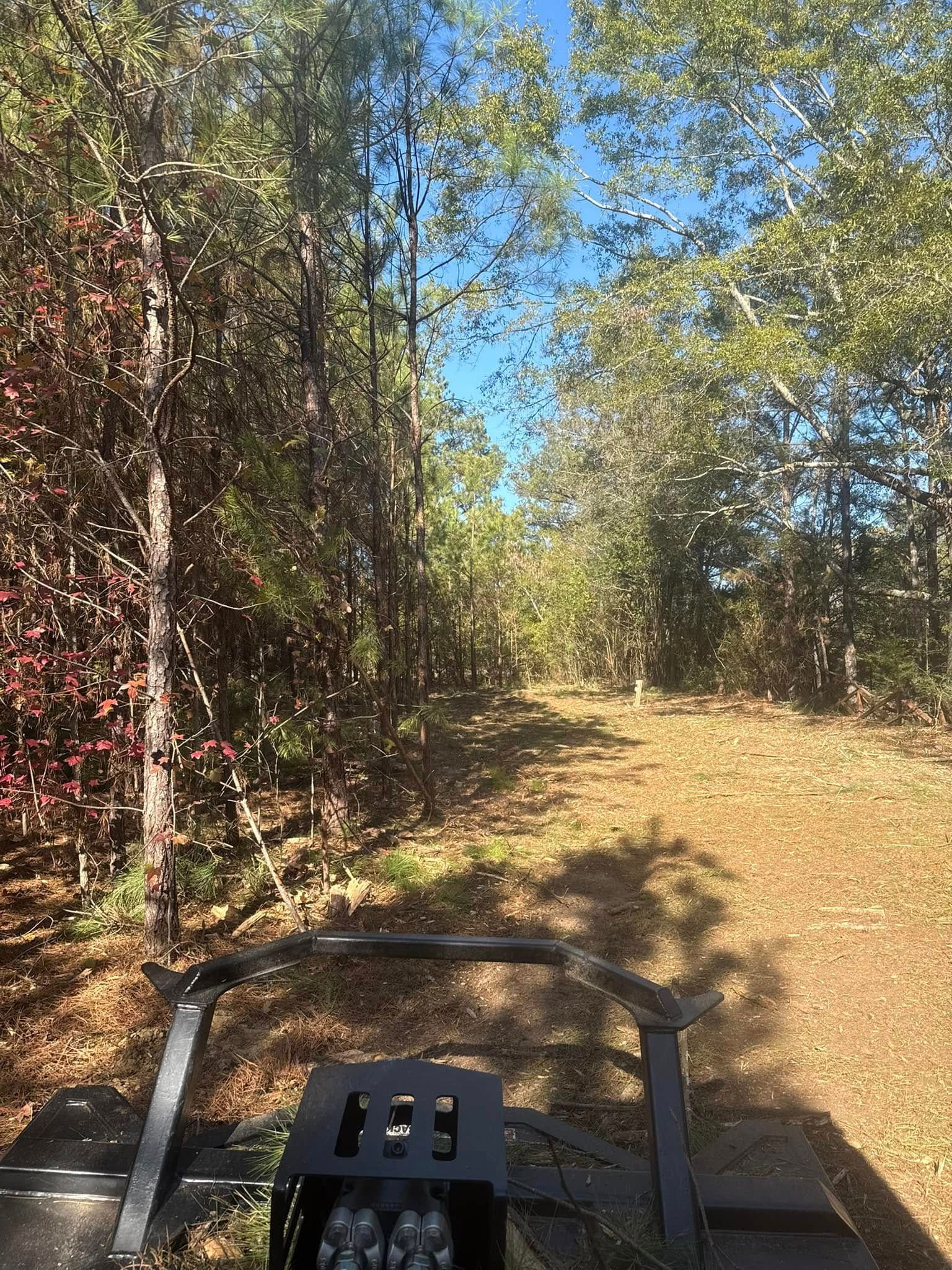 View from the handlebars of an ATV looking down a wooded dirt trail on a sunny day.