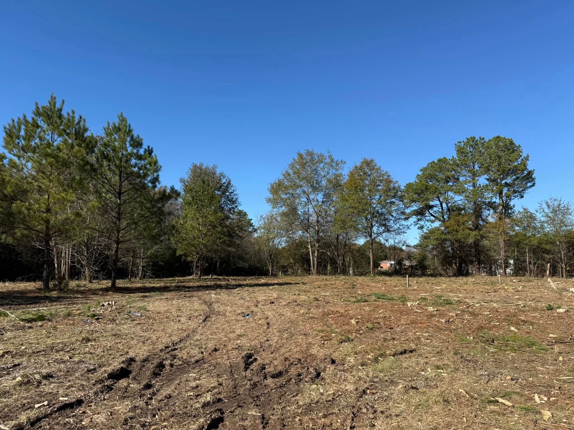 A cleared, grassy lot with tire tracks in the foreground and a line of evergreen and deciduous trees under a blue sky.